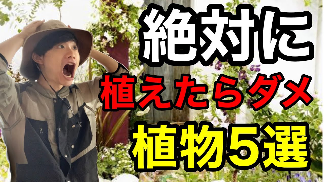 【植えて後悔！】元園芸店員が園芸店で買ってはいけない植物5選を解説します【園芸】【ガーデニング】【園芸初心者】