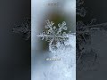 Snowflake Size Matters 15 Inches Of Fluffy Snow ️ Shorts Facts Snowflakes