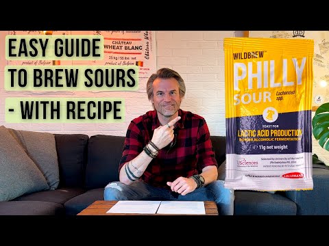 Easy guide to brew sour beers with Philly Sour - Berliner Weisse recipe