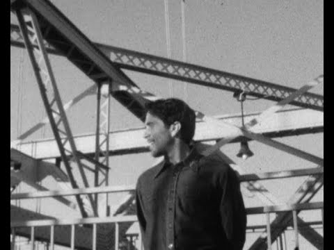 Paluma Sound - Love Will Takeover