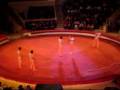 Acrobatic Rops Show Big Circus Show