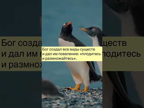 Мужские и женские органы, эволюция.