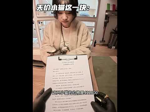 這隻看起來普通的貓咪居然被喊出天價，鏡頭一轉才懂牠到底貴在哪裡😱🐱 #天價貓咪 #萌寵 #養貓日常