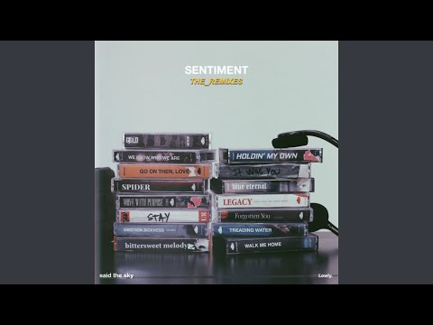 Walk Me Home (Effin Remix)