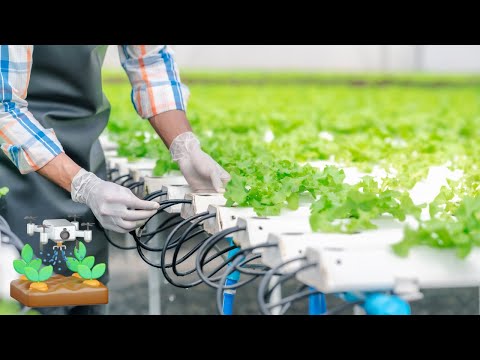 Water Conservation Techniques in Agriculture: Save Water, Save Crops! (2 Minutes)