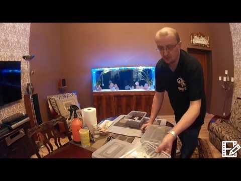 Jak założyć hodowlę Albidus'a & Grindal'a ... (Grindal&Albidus - How It's Made?)