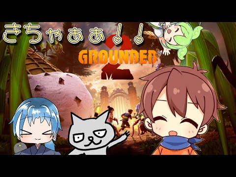 【毎週土曜日コラボ】グランテッド2！毎週土曜日コラボ！