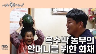 [나는농부다 303회] 흑수박 농부의 할머니를 위한 화채