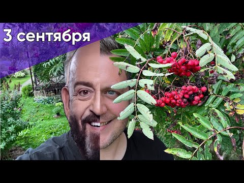 3 сентября 2023 (Михаил Шуфутинский / Linkin Park / Rock Privet)