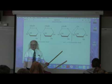 25. Ahern's BB 350 at Oregon State University - Sugar Metabolism I