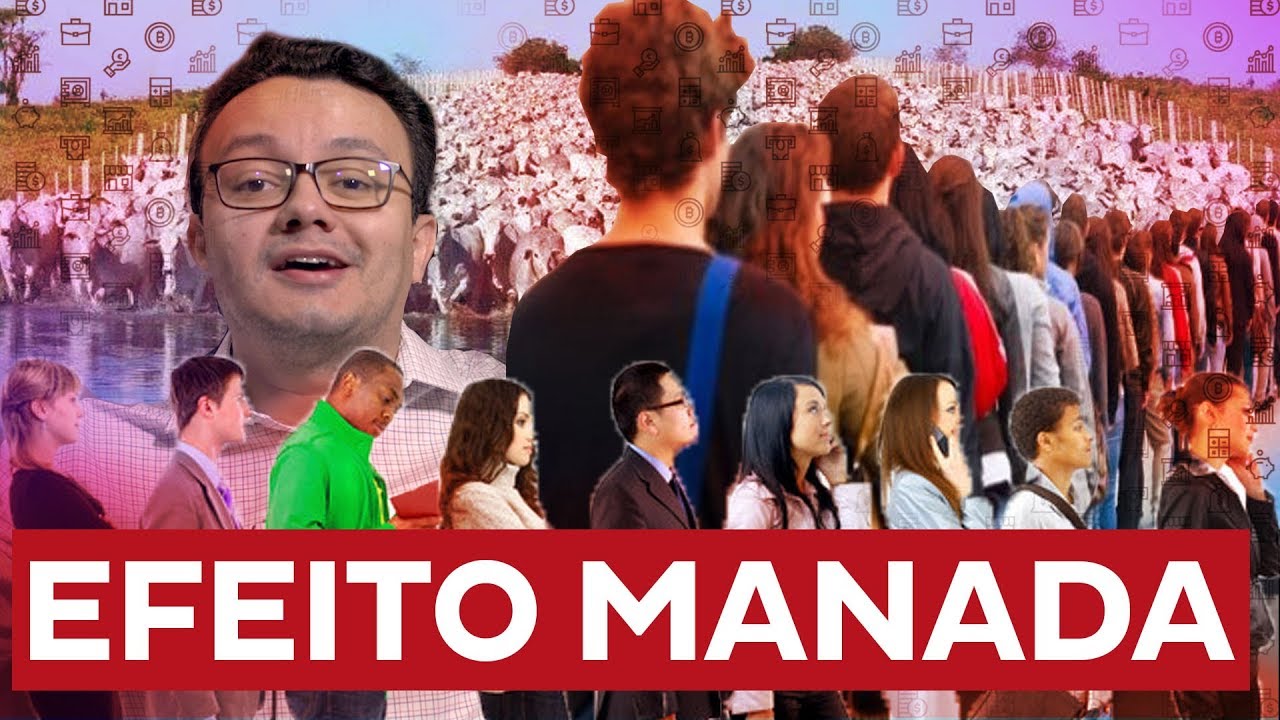 Efeito manada