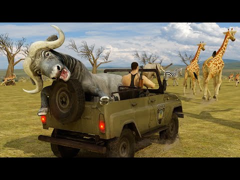 Sniper Hunter Safari Survival Android Gameplay - YouTube