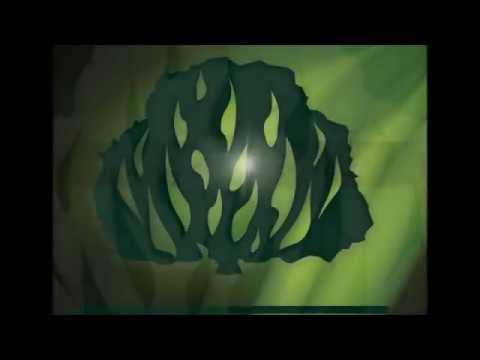 A Igreja em Adoração video
