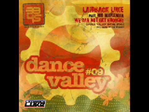 Laidback Luke - We Can Not Get Enough (The Prophet Remix)