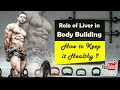 Role of liver in bodybuilding ( beginners jarur sunein )