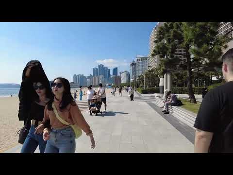 Praia de Haeundae em Busan Coreia do Sul Tour 2023 4K