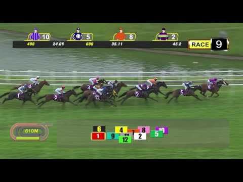 Singapore Three-Year-Old Classic 2017 (Countofmontecristo)