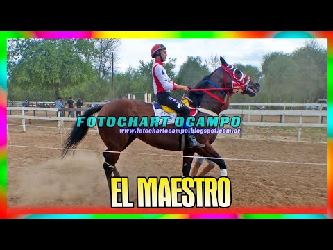 EL MAESTRO - Campo Gallo - Santiago del Estero 23/12/2023