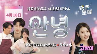 安妞👋韓娛午報 20260418
