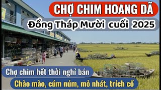 Download lagu Chợ Chim Thạnh Hóa Long An - chủ chim bỏ tiệm, khách vắng cuối 2025 mp3 Download lagu Chợ Chim Thạnh Hóa Long An - chủ chim bỏ tiệm, khách vắng cuối 2025 mp3