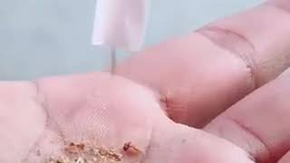 Download lagu Charas New states mp3 Download lagu Charas New states mp3