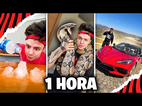 OS MELHORES VÍDEOS DO ENALDINHO! (1 HORA DE SHORTS)