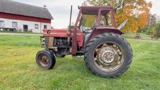 플레이트 컴팩터 Massey Ferguson 165 | 이미지 4 - Machineryline