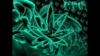 311 - Hydroponic (live) - 1080p