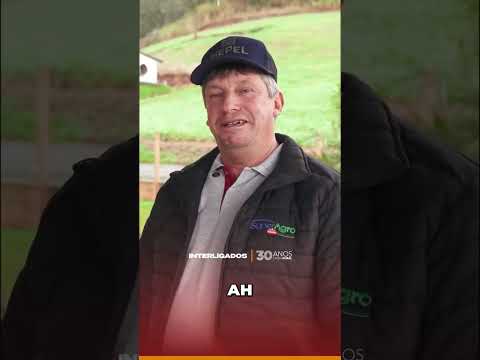 Família Vani | Parte 1  Em Seara, Santa Catarina, uma música e uma conversa deram início a uma parce