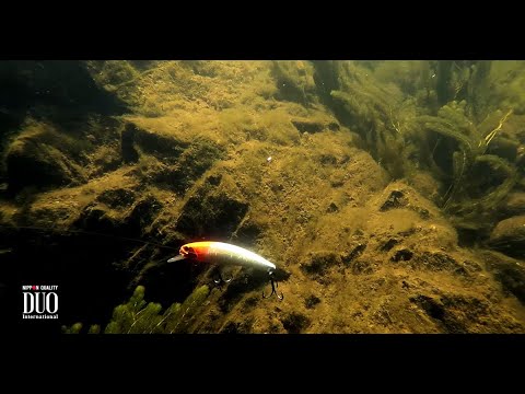 Lure Masterclass: Realis Fangbait 100SR - How To