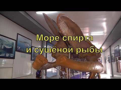 Океанографический музей (океанариум) Нячанга