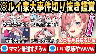【同時視聴】ルイ家で起きた“ママン激怒事件”がやばすぎたｗ【ホロライブ 切り抜き/鷹嶺ルイ】