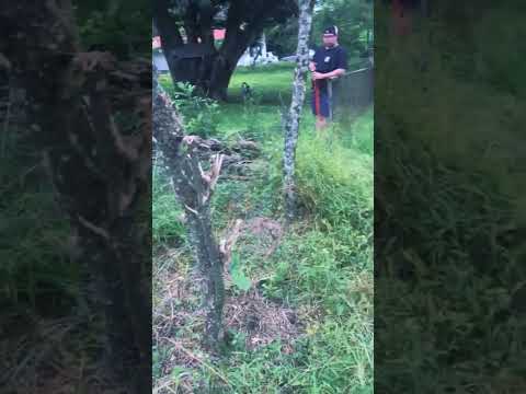 Tronadora, Tilarán / Propiedad en Venta/  #invierteenbienesraices #bienesraices