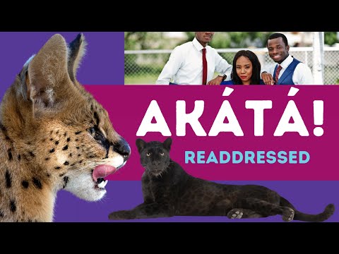 Akátá (Akata): Meaning and Usage of the Word | Thorough Follow-Up Video