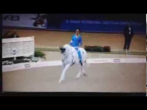 Viktor Brüsewitz - CVI Doha/Katar 2014