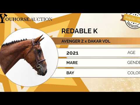 youtube preview