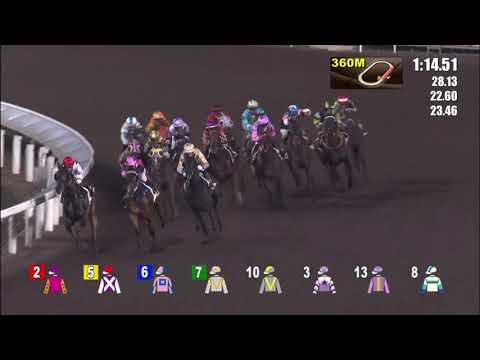 12/5/2021 (667) Gold Comet - J Moreira