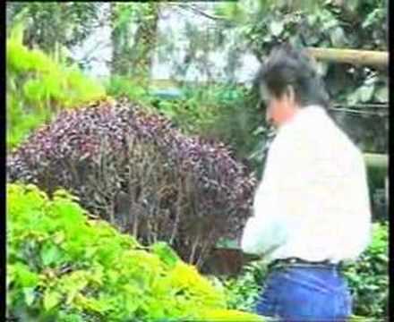 Download Lagu Free Download Mp3 Tommy J Pisa Biarkan Aku Menangis Mp3 Gratis