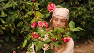 Stradivarius Messy Escape 🌼🌲