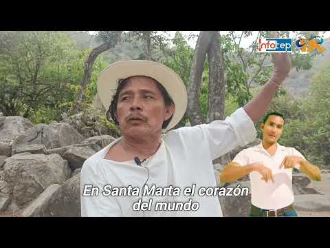 Plantas Medicinales de la Comunidad Wiwa en Achintikua San Juan del César - La Guajira (INFOTEP)