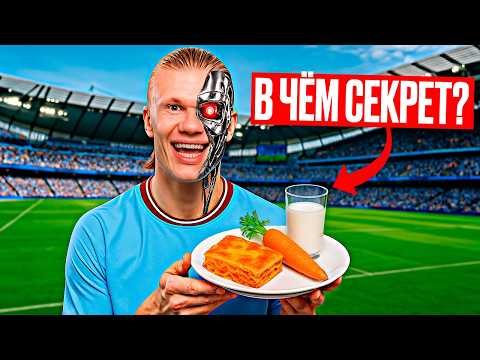 10 ФАКТОВ О ХОЛАНДЕ, В КОТОРЫЕ СЛОЖНО ПОВЕРИТЬ