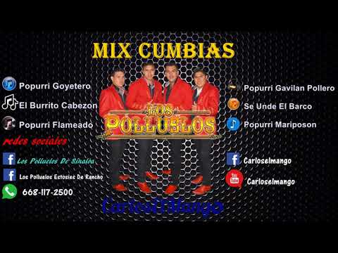 los polluelos de sinaloa mix cumbias exitos