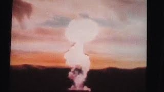 Måke - Deep Sea Diver