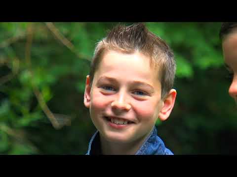 The Wee Amigos  "Say You Love Me"