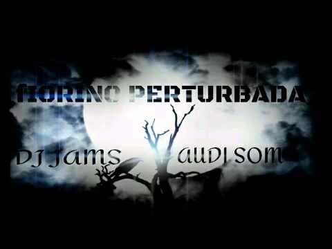 Fiorino Perturbada Audi Som - Dj Jams