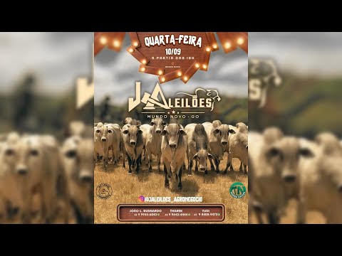 J A LEILÕES -  MUNDO NOVO - GO  - 10/09/25