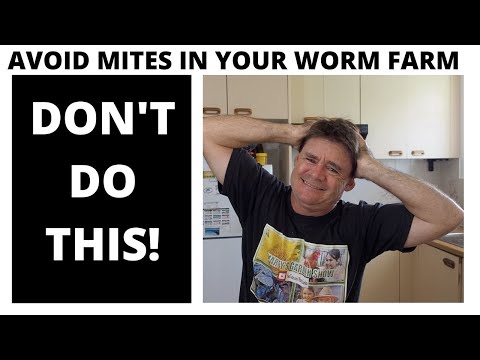 AVOID BLOOD SUCKING MITES In Your Worm Farm DON'T Do This
