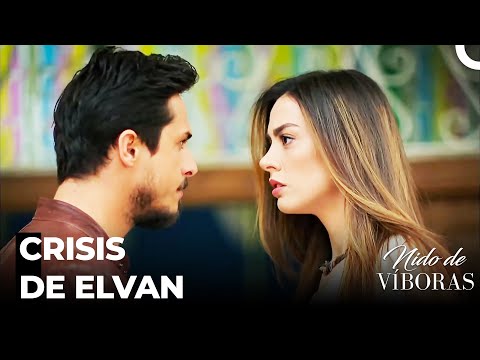 Crisis Entre Ejder Y Nagme - Nido De Víboras