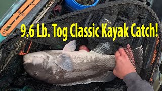 2024 Tog Classic, What A Big Kayak Blackfish!