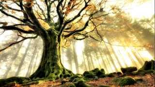 M.craft - Dragonfly (Memro bootleg)